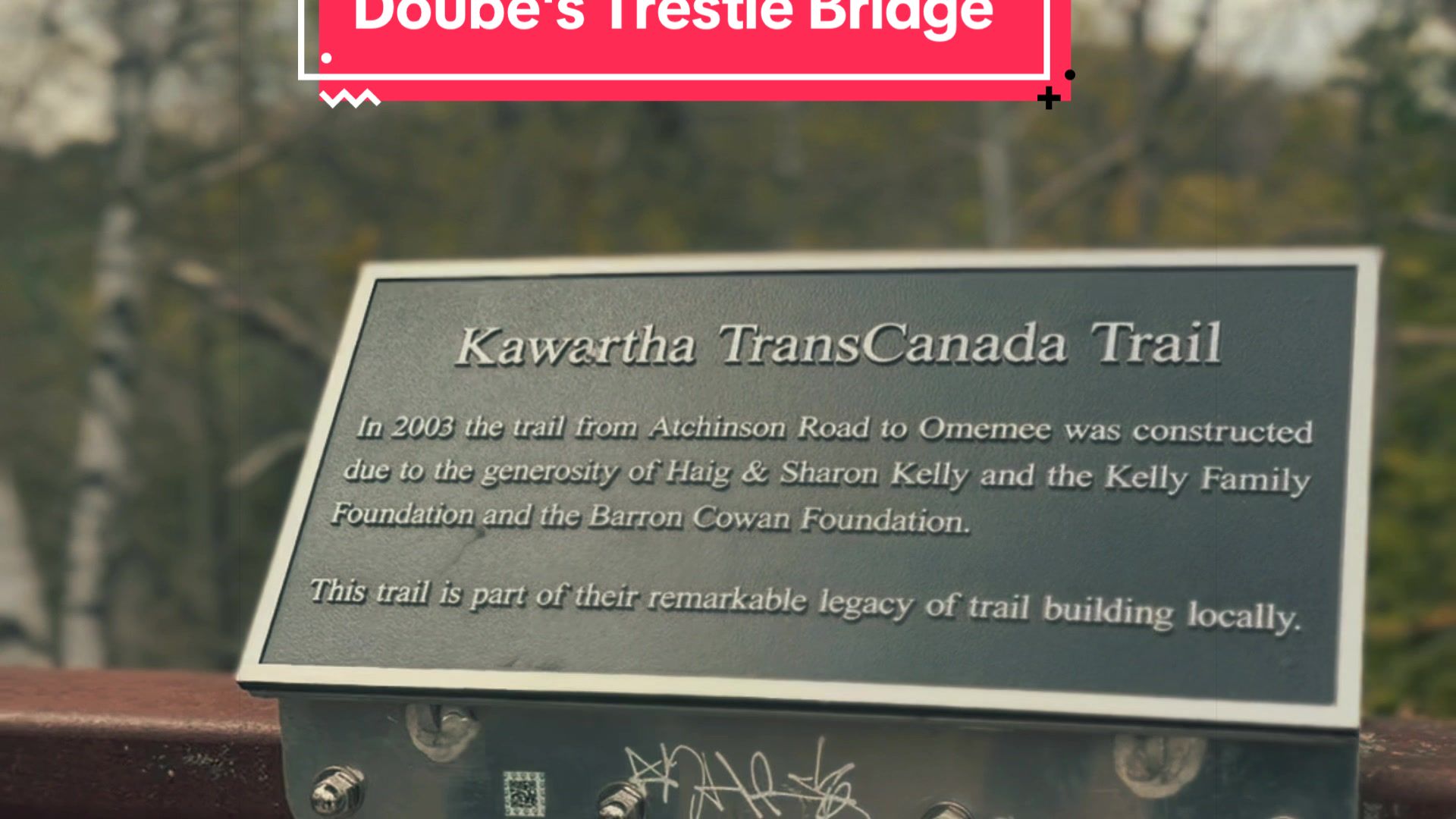 📍Doube's Trestle Bridge #canada #fyp