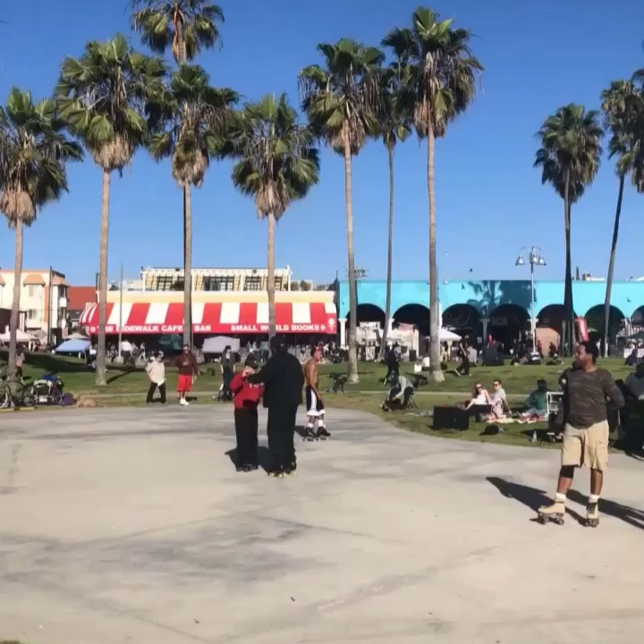 Venice Beach
