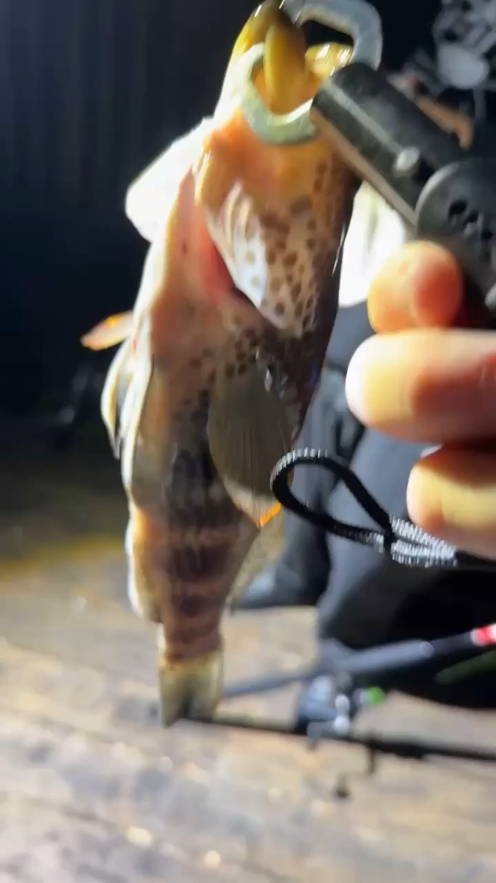 fishing