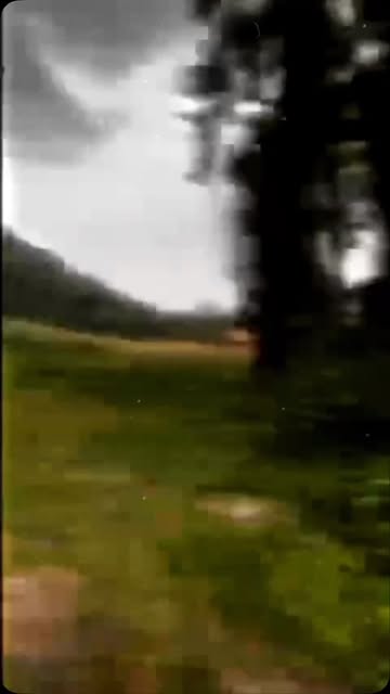 #nature
