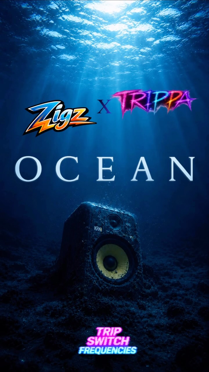 WAIT FOR THE DROP !!!💧💦 OCEAN 🌊 - Zigz x TRIPPA @trippamusic 21.08.26 #newmusic #dancemusic #festivalseason #edm #...