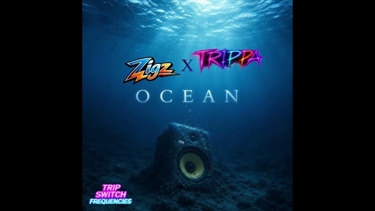 The first collab from the founding artists of the record label TRIP SWITCH FREQUENCIES - Zigz x TRIPPA “OCEAN” is a d...