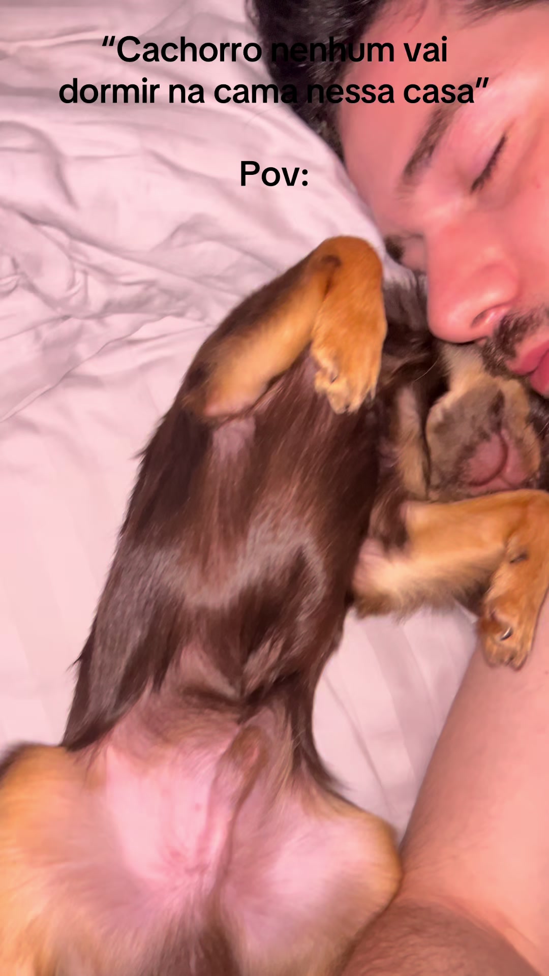 Papai não queria cachorro e agora se derrete 🤣 #chihuahua #pet #fyp #weekend #fy