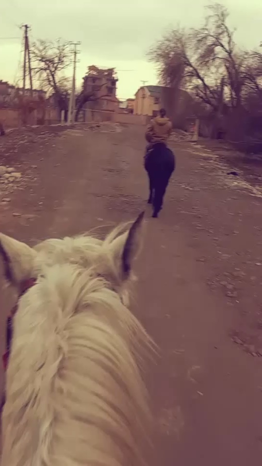 Horse riding