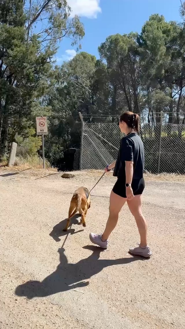 24K9 leashes