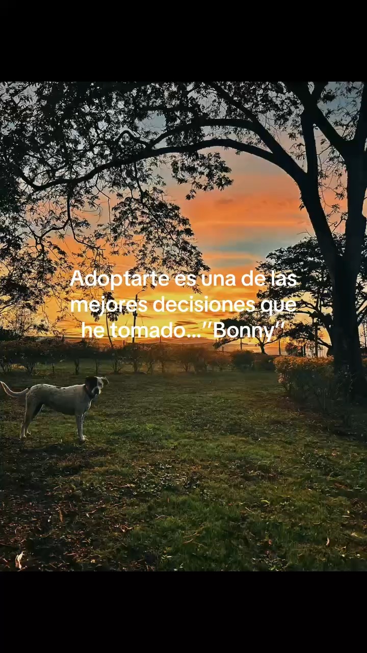 Bonni bendecida