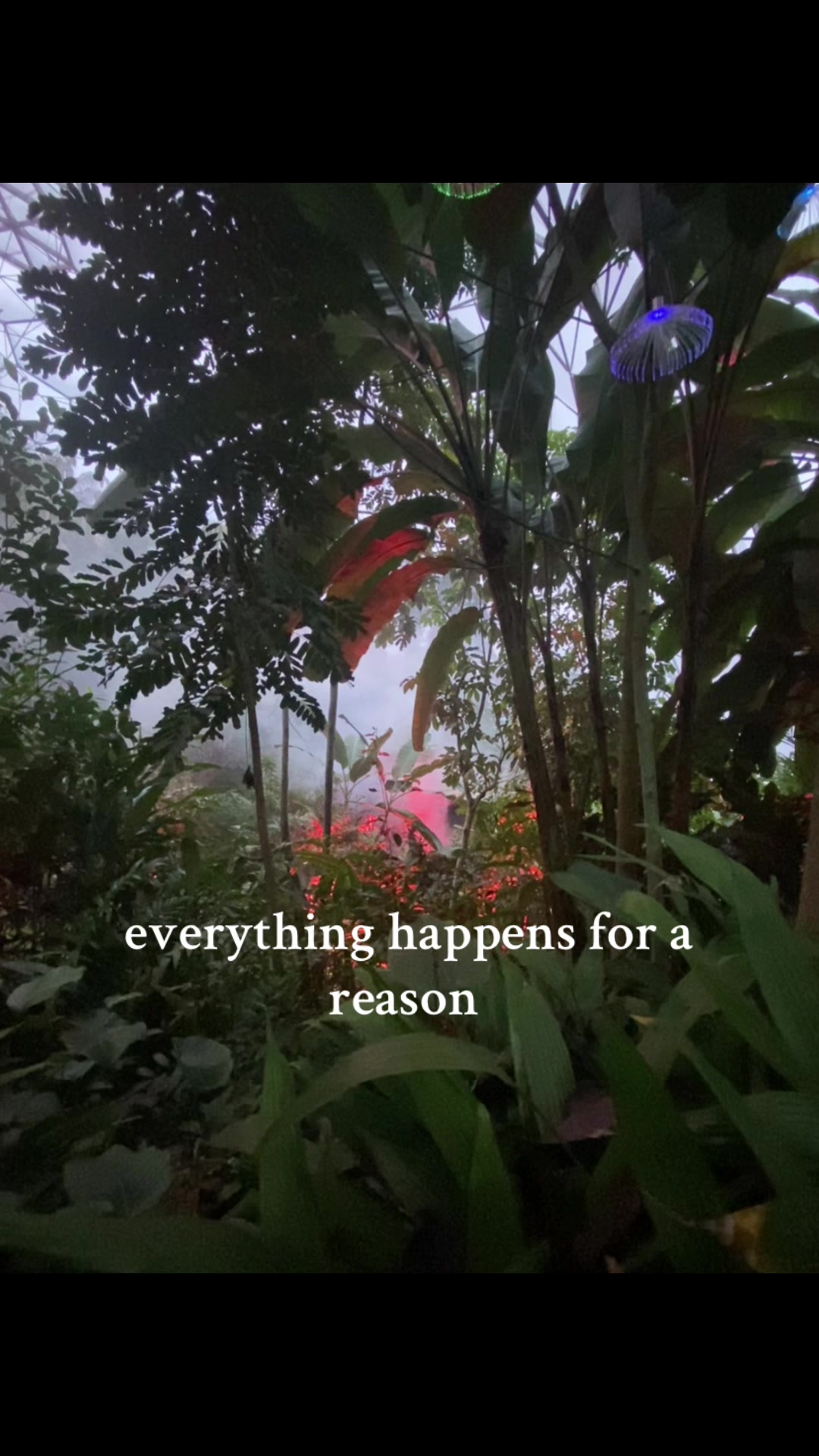 always <3 #fyp #universe #smallcreator #abcxyz #reason