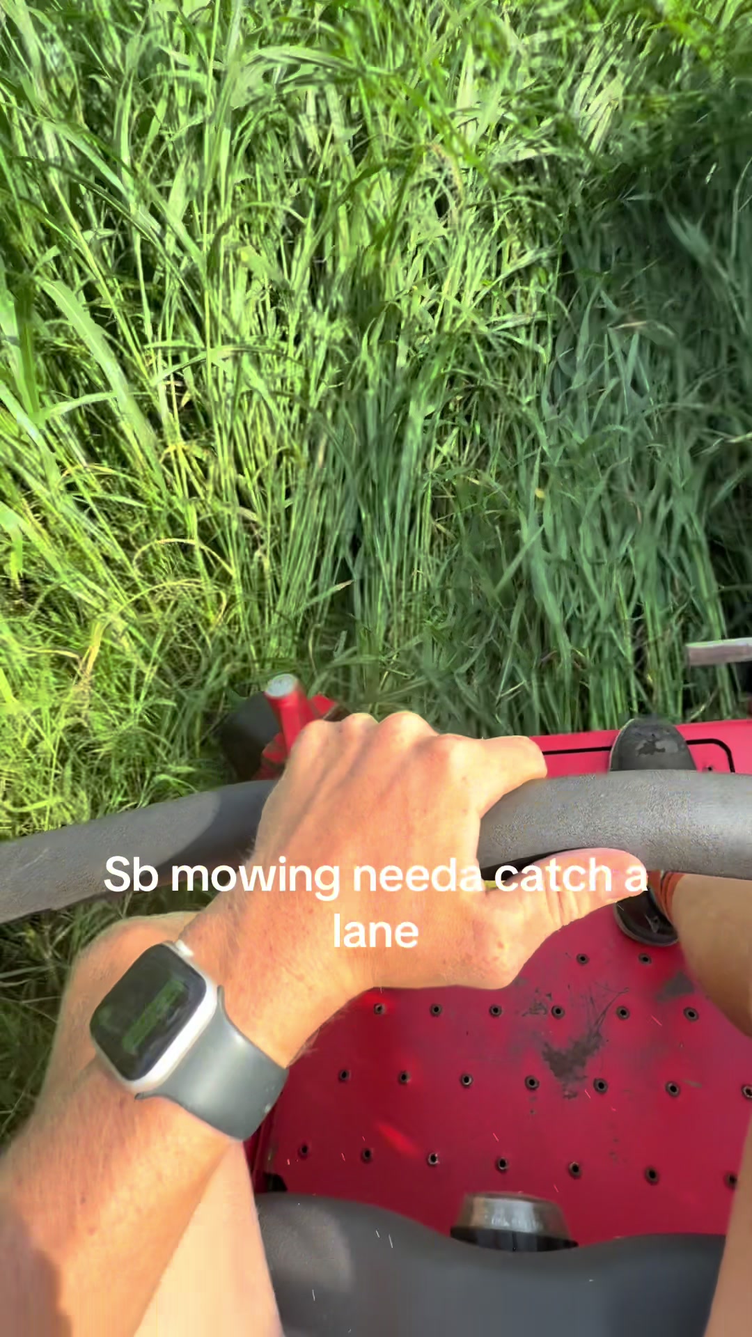 @SB Mowing #landscaping