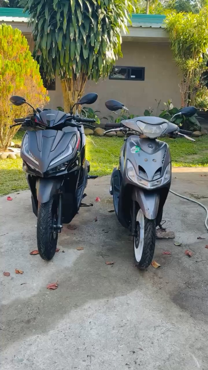 meet my daily companion