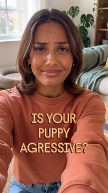 The video is how to spot the difference. Here's the rest: Why puppies bite, what to do, and when to bring in help? Wh...