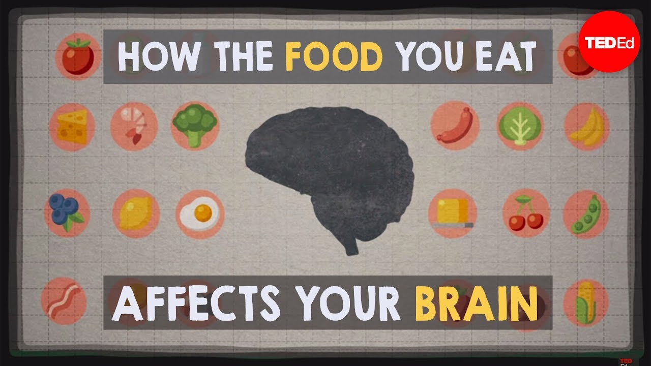 How the food you eat affects your brain - Mia Nacamulli View full lesson: http://ed.ted.com/lessons/how-the-foo... Wh...