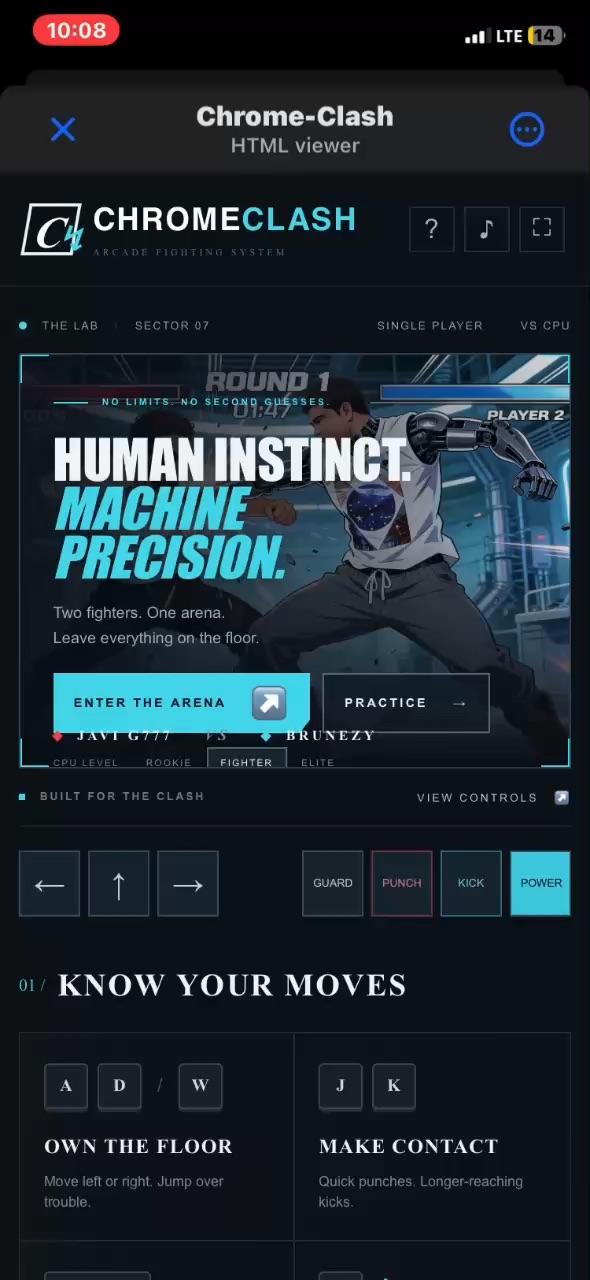 2d fighting game