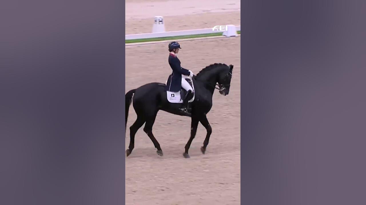 Lottie Fry & the black beauty Glamourdale 💗 #shorts ▶▶ Subscribe to our YouTube channel & hit the bell! 🔔 ▶▶ http:/...