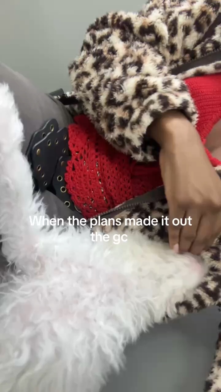 Going to the pet store