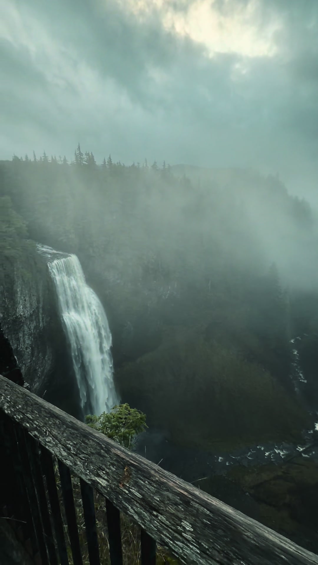 Salt Creek Falls, OR 📍 #waterfal #hike #Hiking #pnw