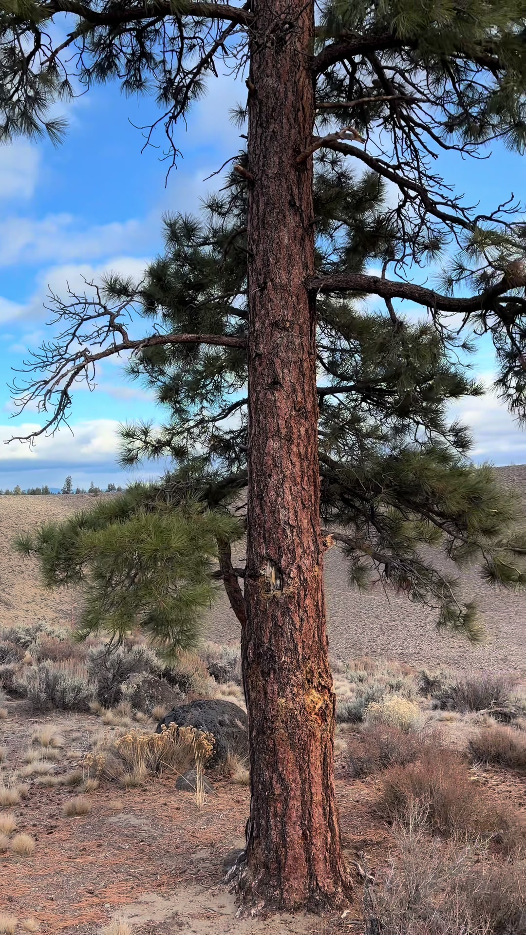 Hole-in-the-Ground, OR 📍 #pnw #lapine #dry #hiking #adventure