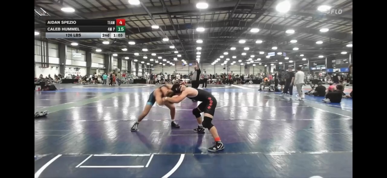 Wrestling