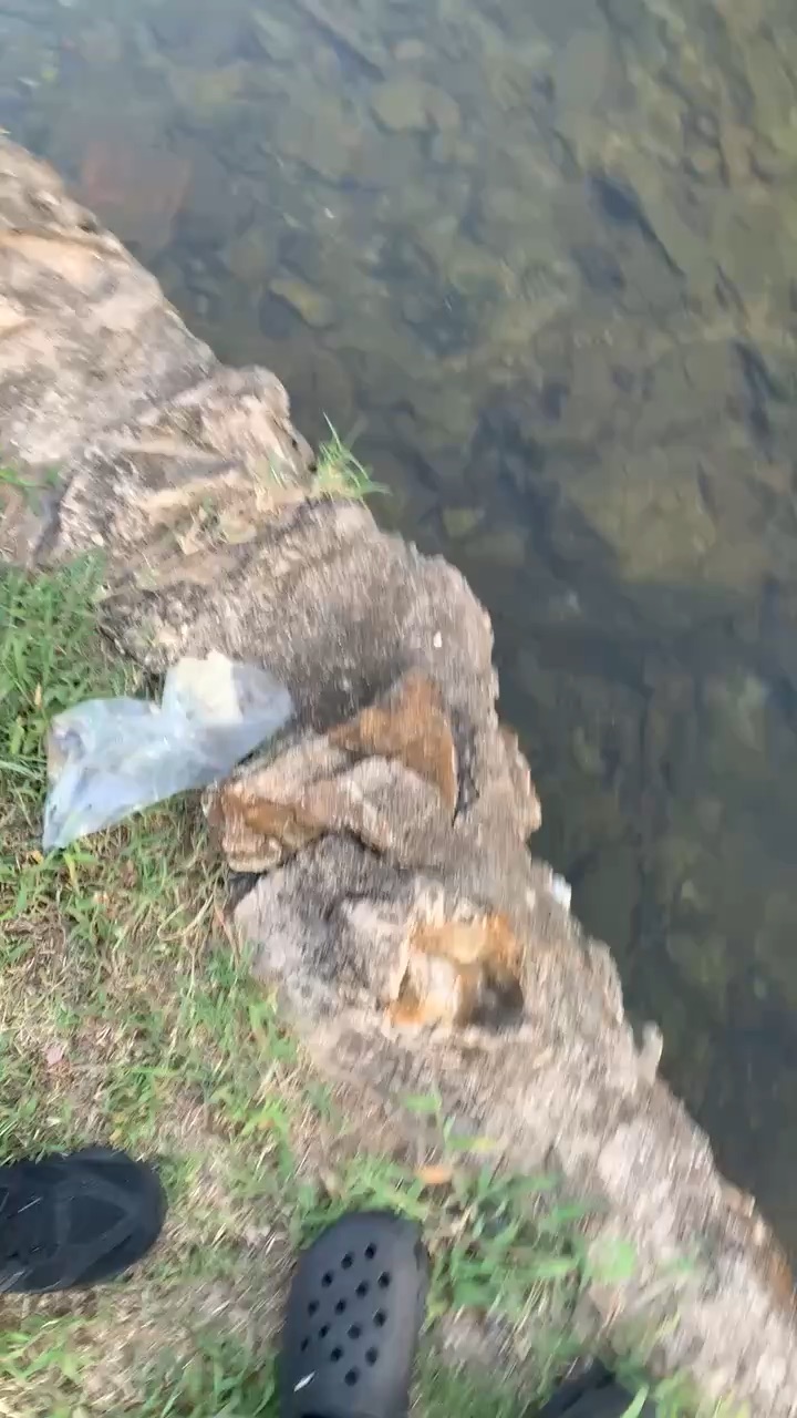 fish cuh