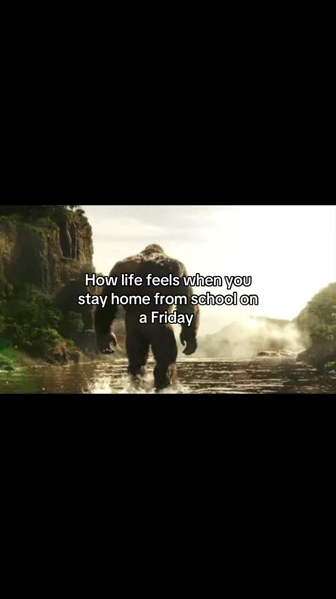 Who stayed home #niche #funny #real #fyp #foryoupage