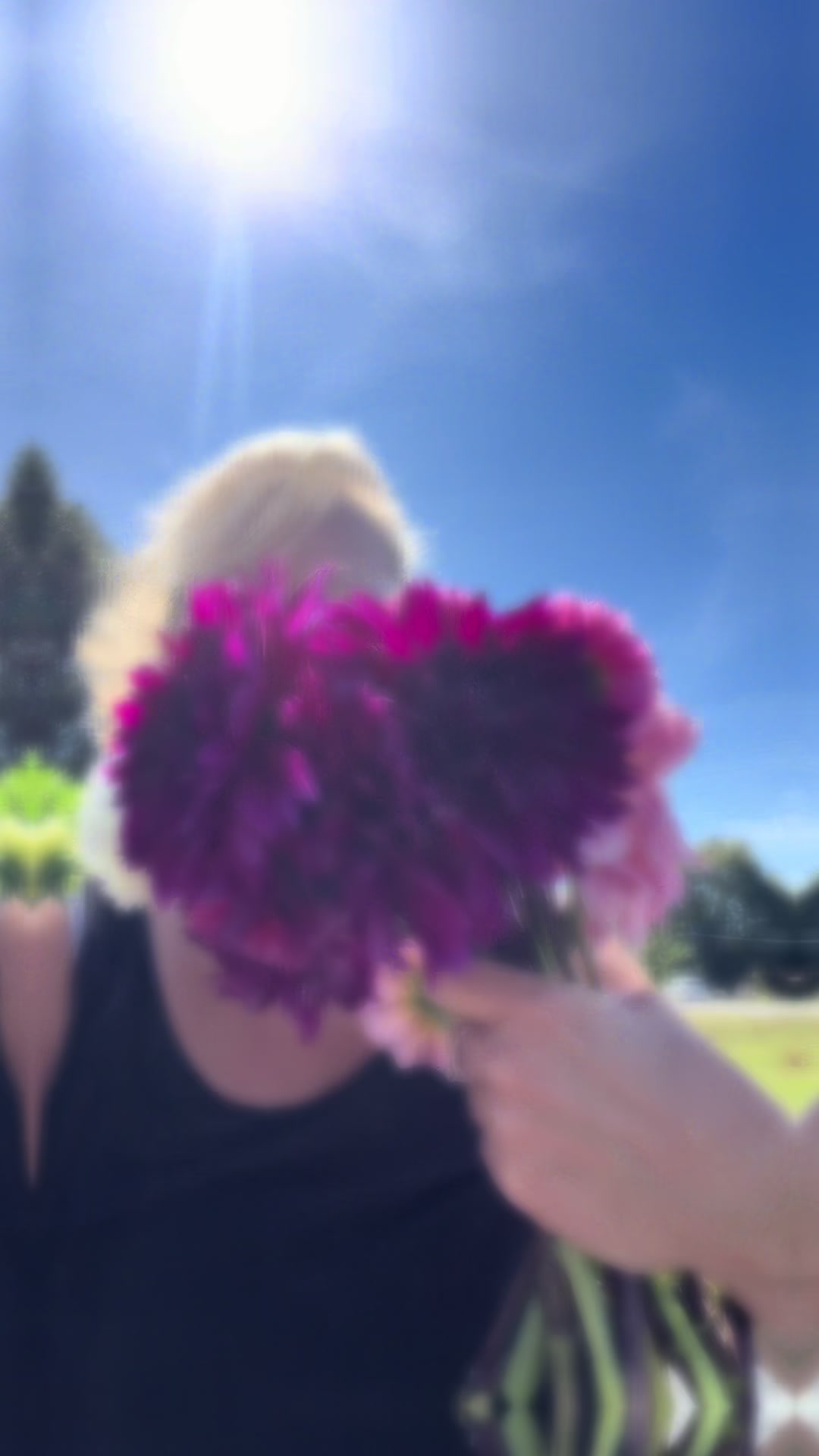 I actually grew these! #flowerfarming #dahlias