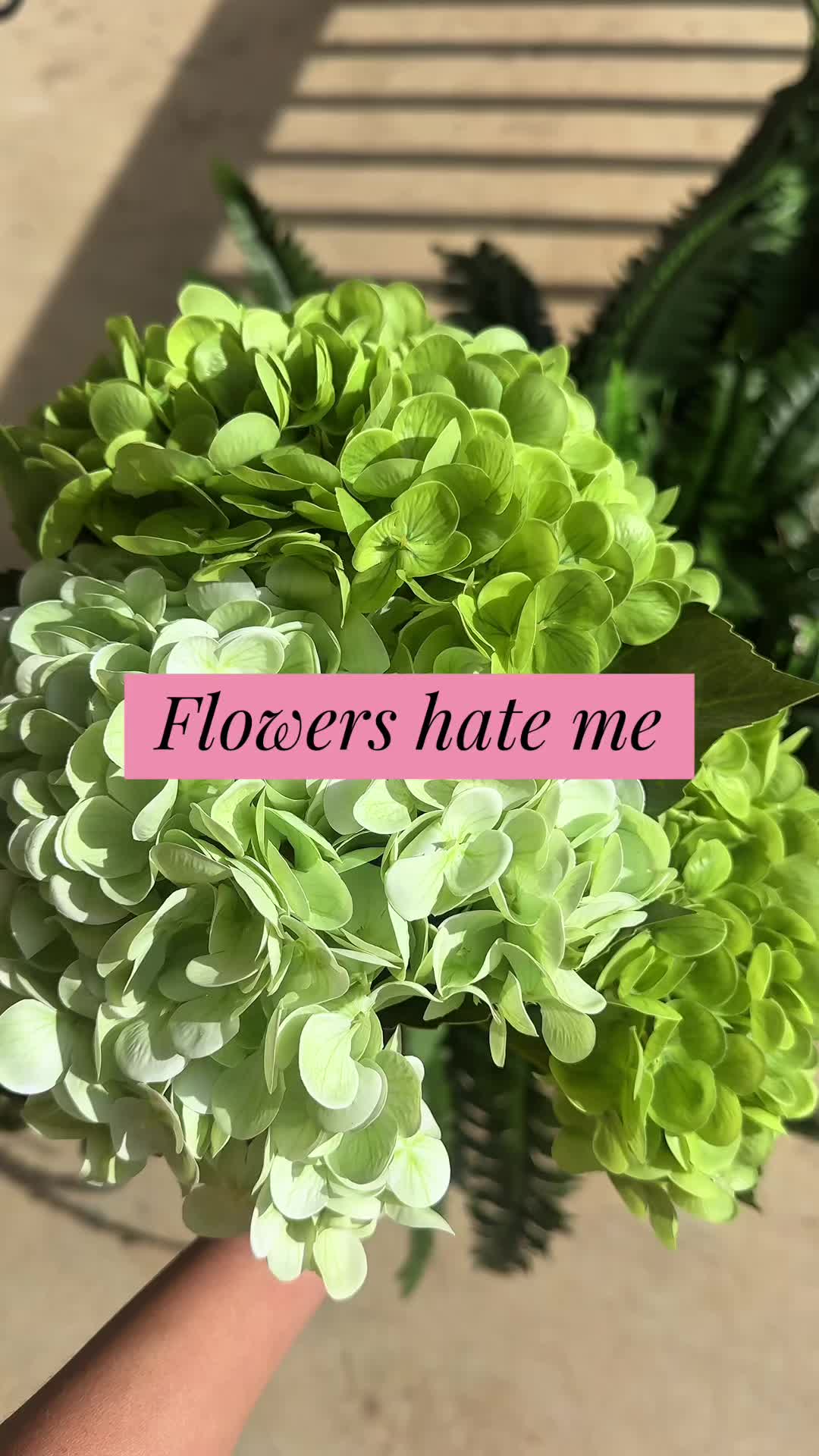 Flowers hate me.. but now they don’t have too! I leave the real gardeners to the task of watering while I sit back an...
