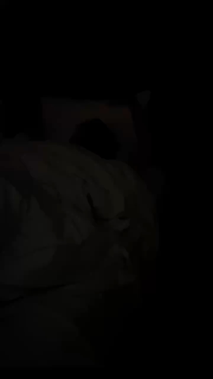 Mini vlog