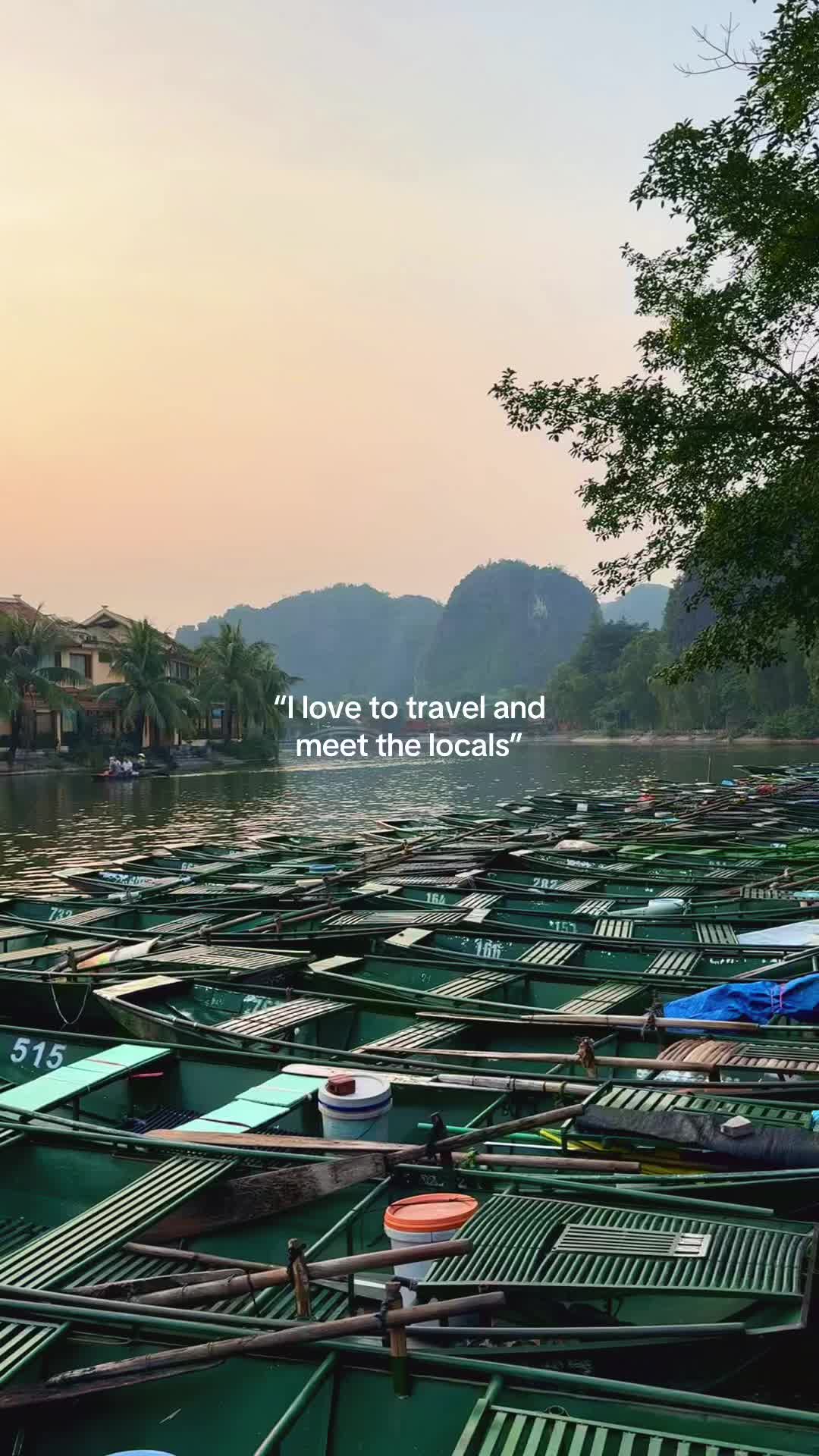 🫶🏻 #travellife #backpackinglife #animalfriends #vietnam