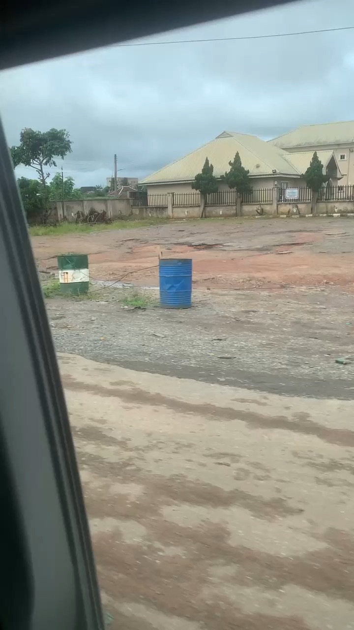 Road side tree