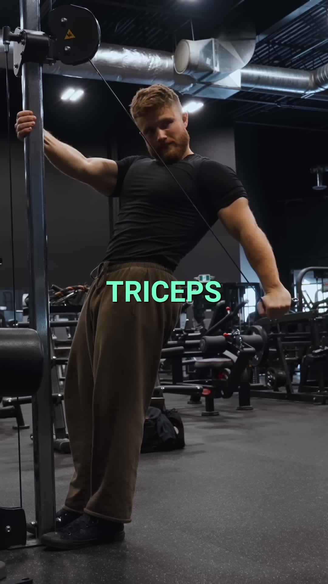 @jeffnippardfitness Triceps Kickbacks - Smash Your Triceps with This Exercise! #fitness #motivation #gym #gymtok #gym...