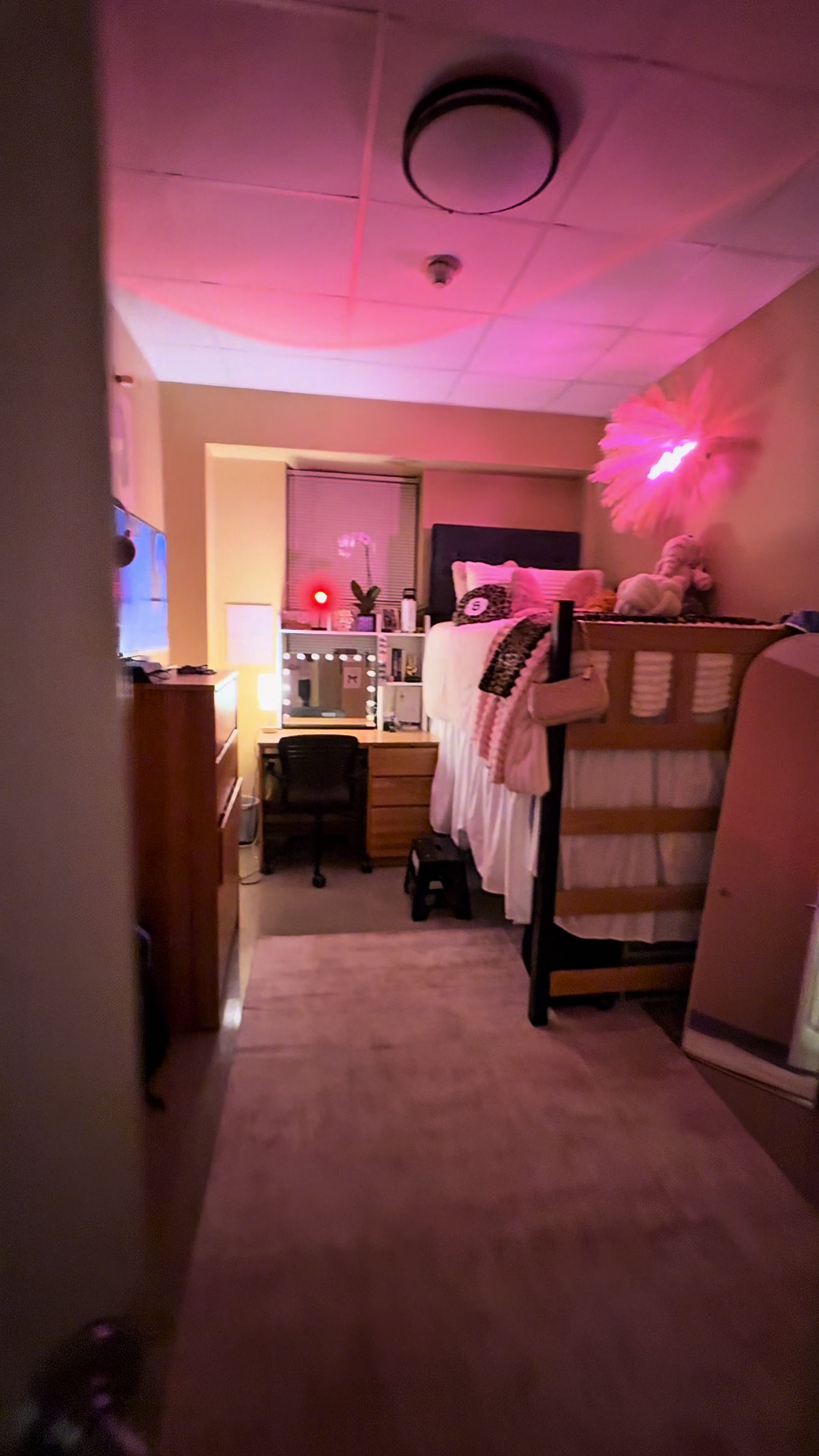 A room clean was longggg over due😬 don’t laugh at me🫩 #cleantok #dormtour #cleanwithme