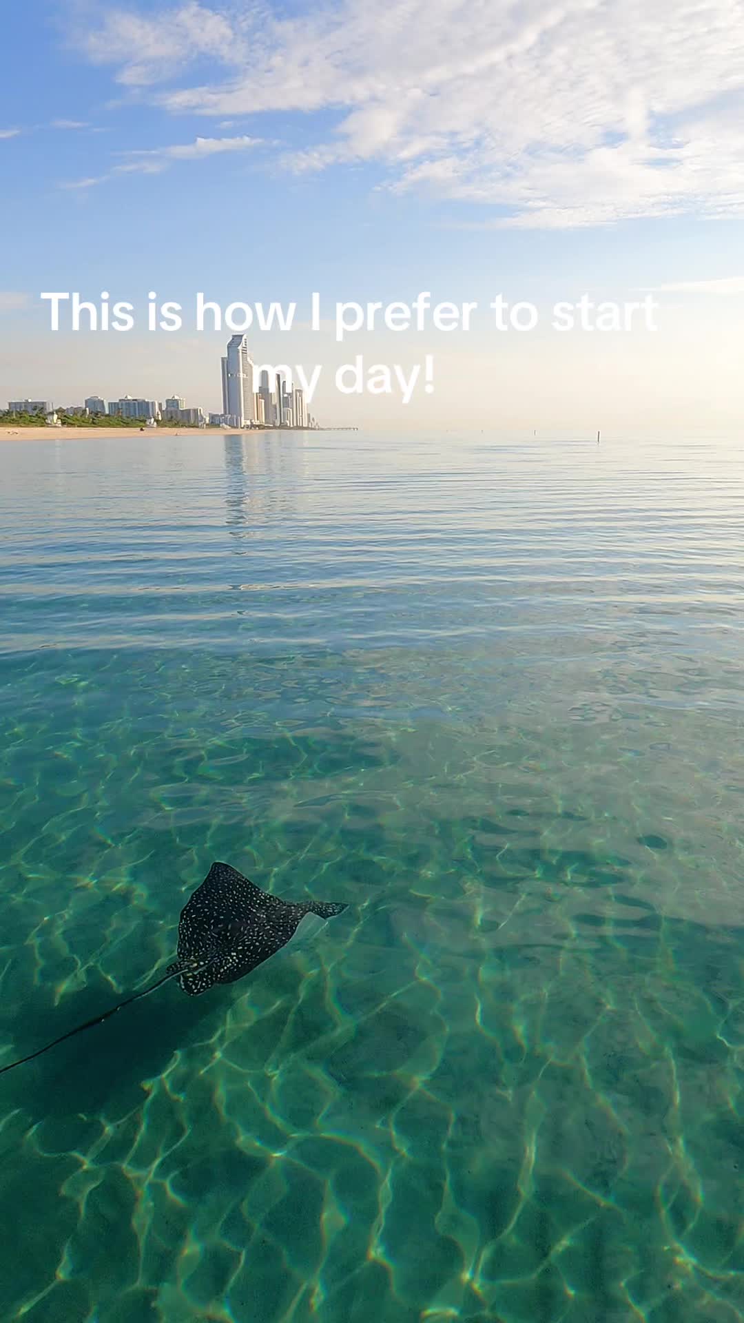 #oceantherapy #eagleray #fypage #makethisviral #viral #gopro