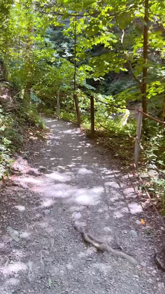 Watkins Glen NY
