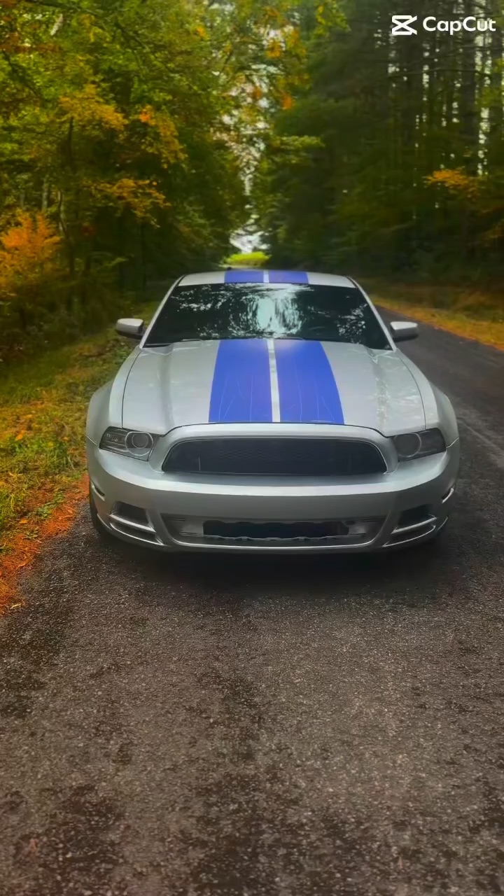 mustang