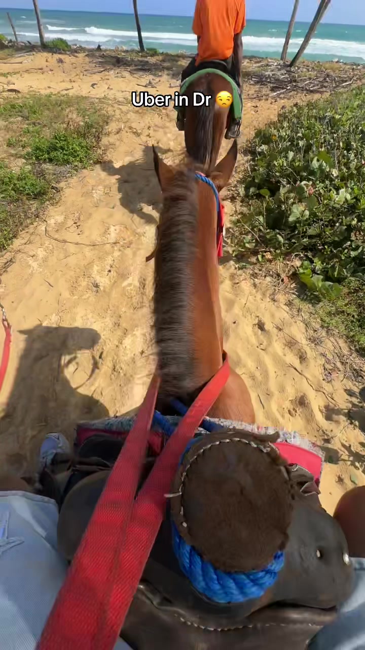 Horse power they said 😒#dattsodenyc