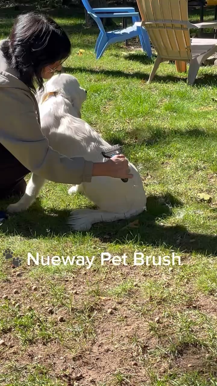 Nuewaypets grooming