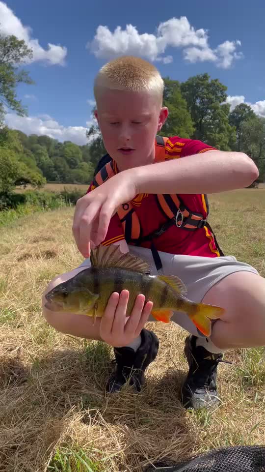 2.25lb perch using a @Fox Rage micro shad #fishing #perch #ultralight