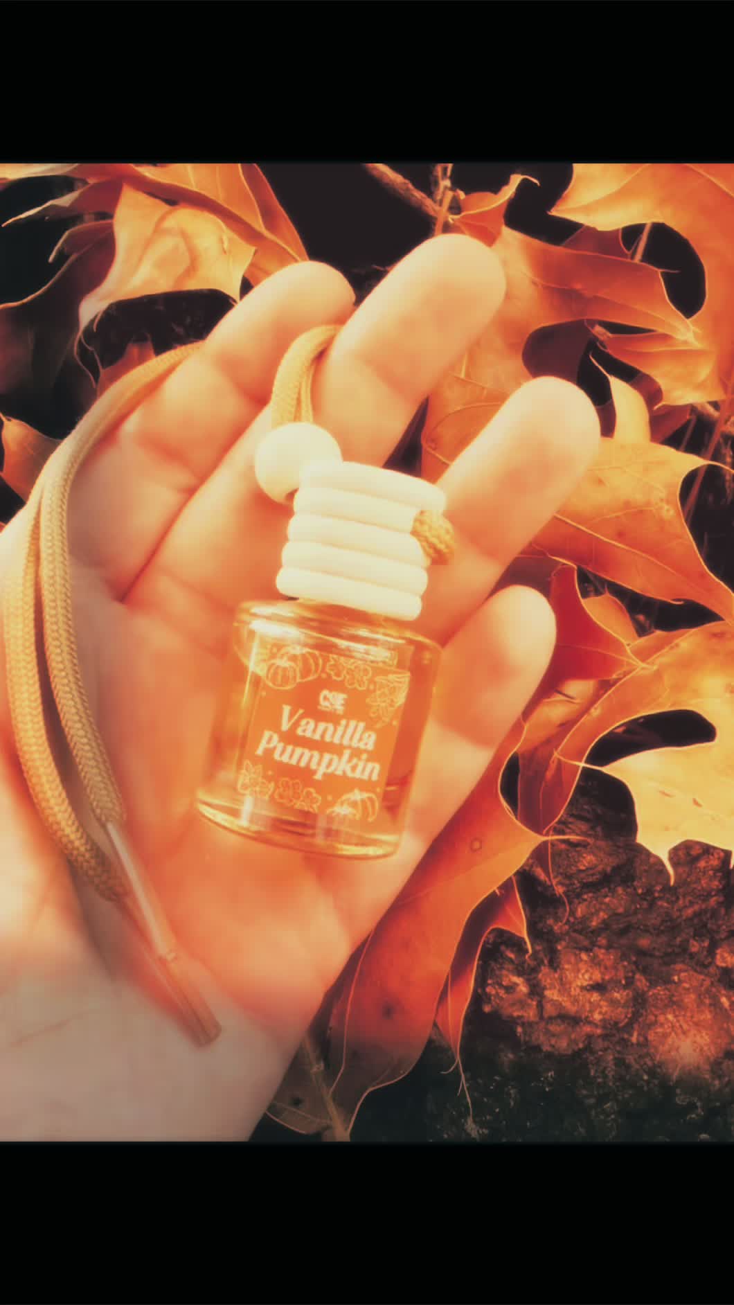 If you need me I’ll be driving my car just so I can smell this and pretend it’s already Fall. 🍂 #viral #fyp #tiktokshop