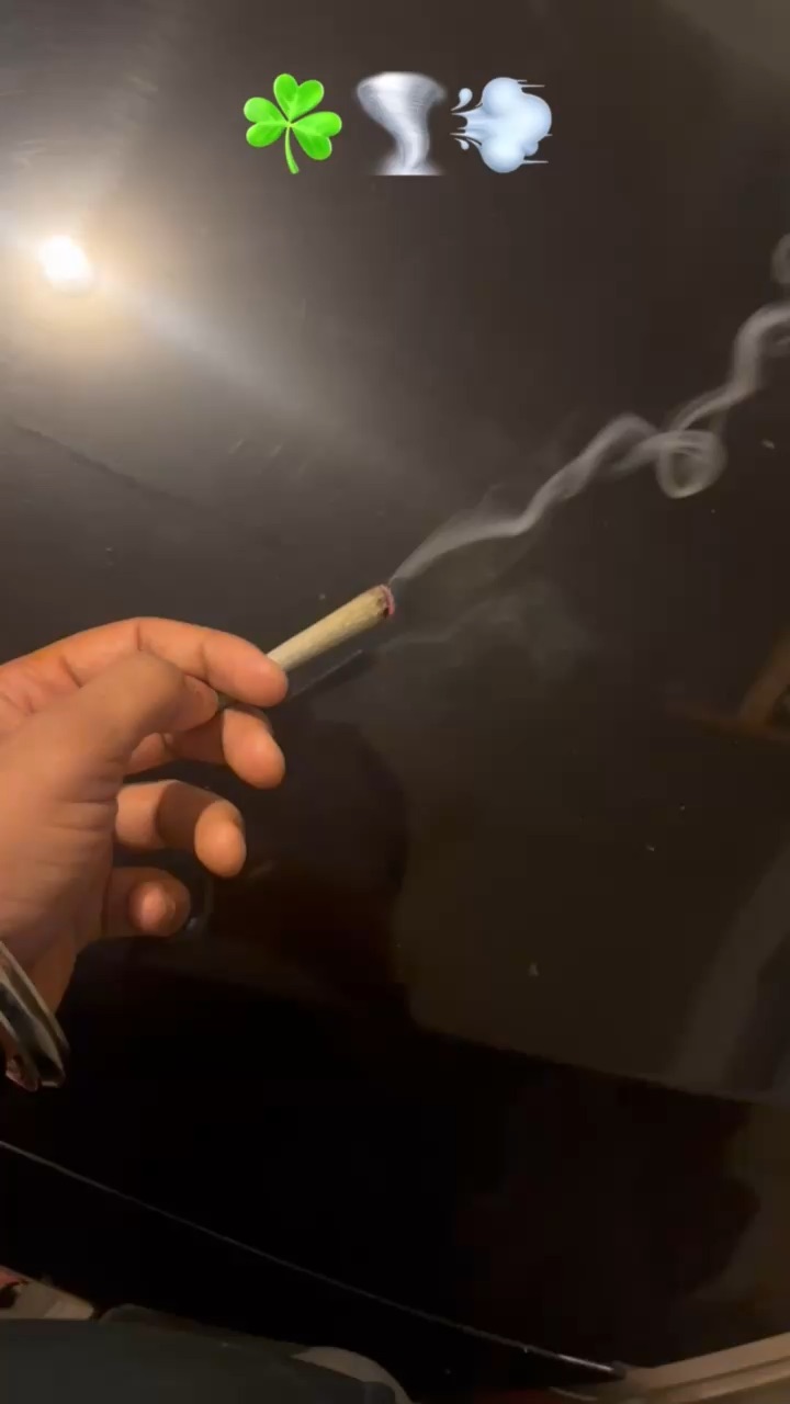 Lifestyle Reel