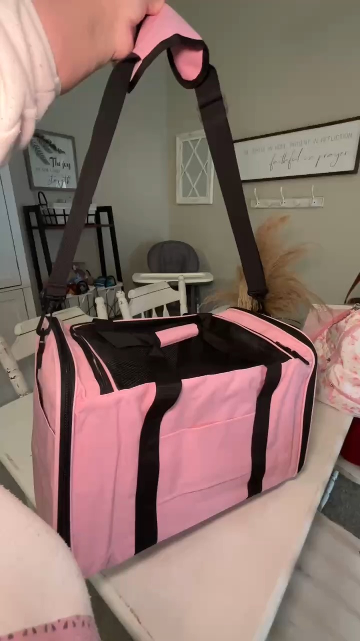 My favorite new carrier to travel with my cats