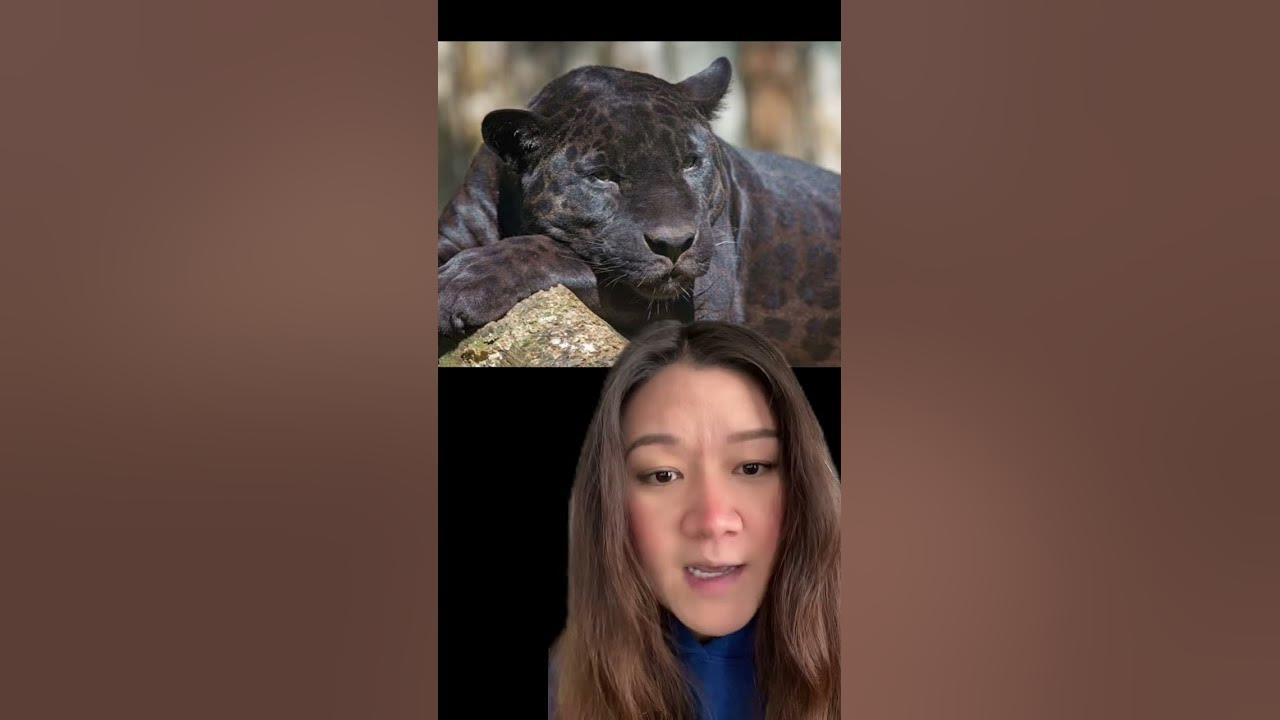 I'm on here weekly, sometimes more than once! Follow me on socials ❤️ 🎥 TikTok: sugenious 🎥 IG: sugenious_ 📷༘ IG:...