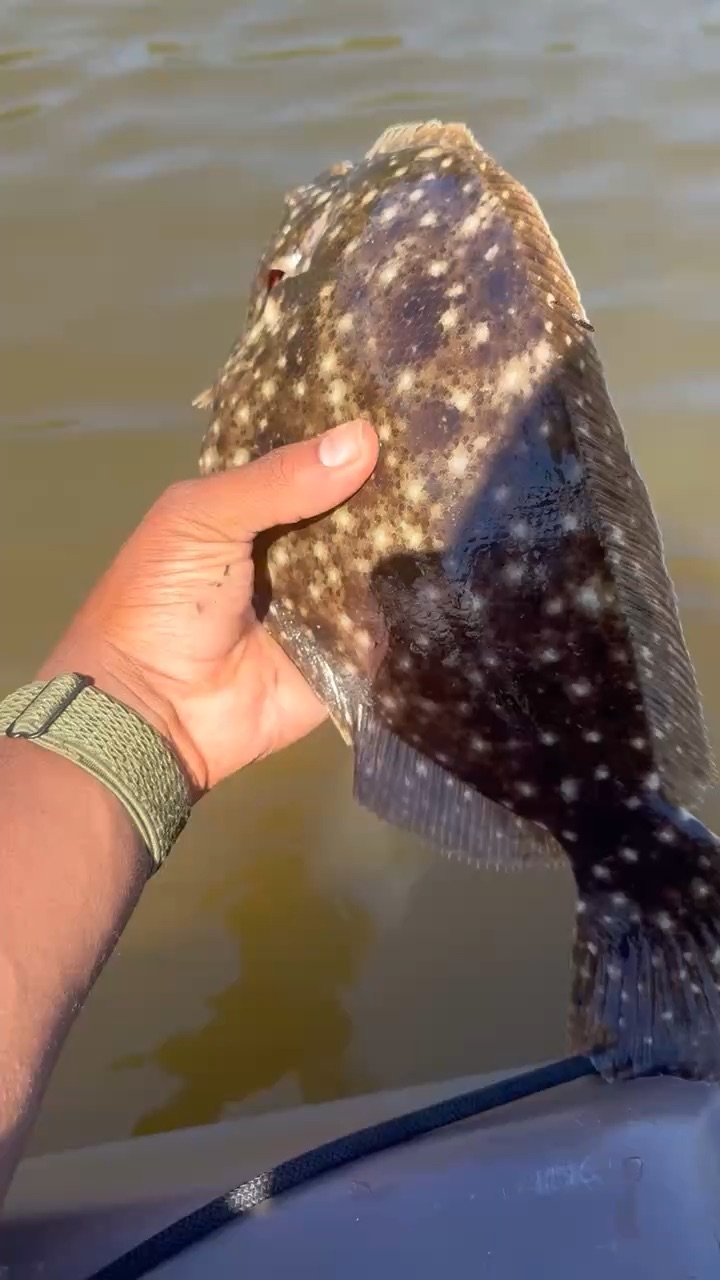 Flounder release
