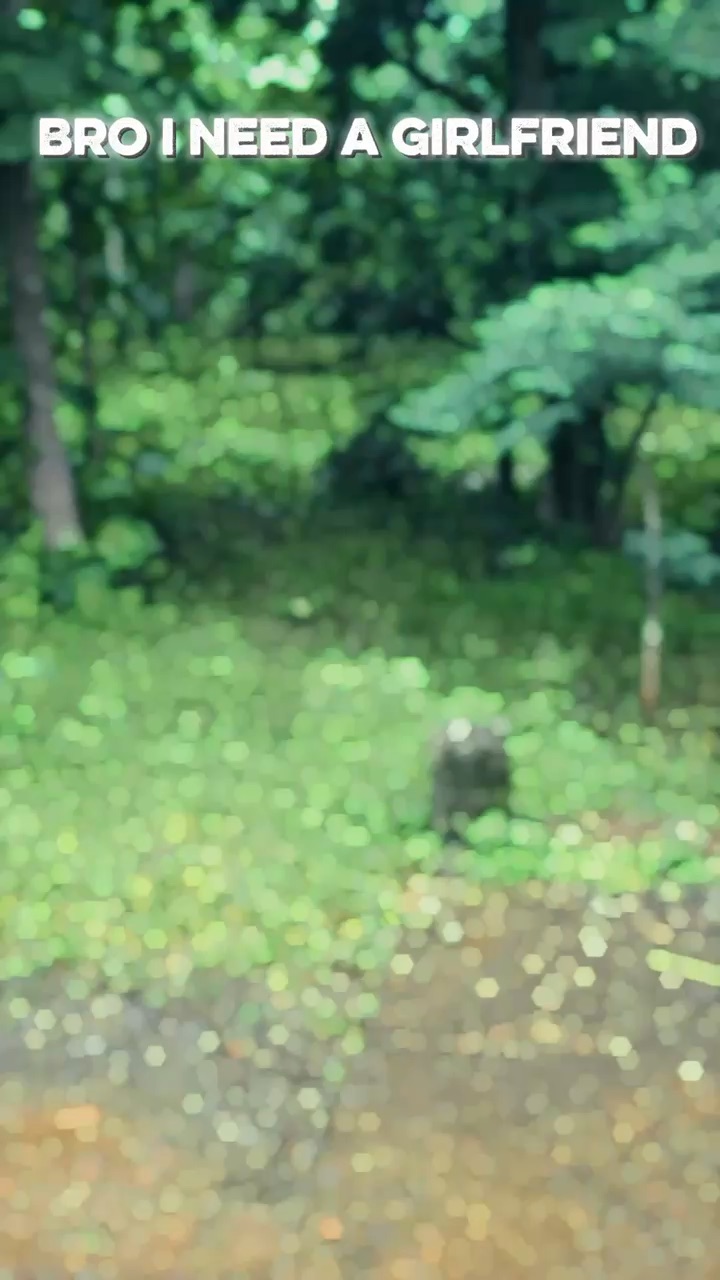 Basic colour grading and editing
