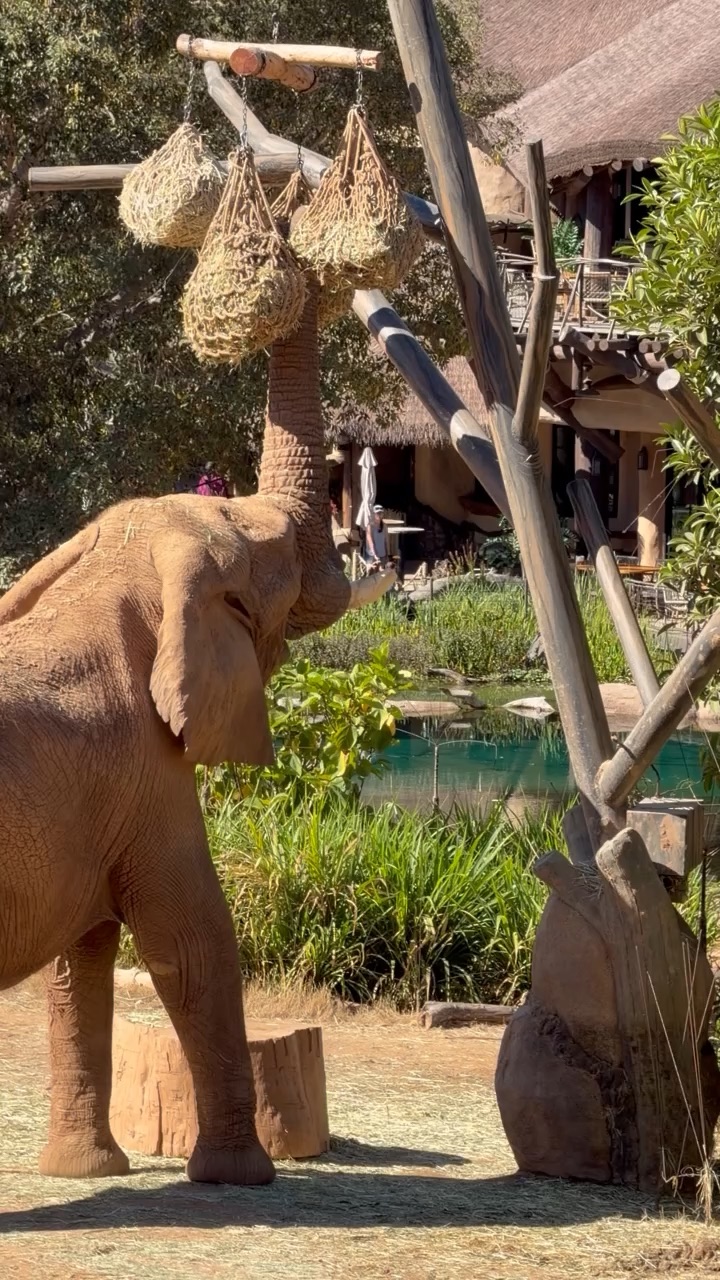 The zoo in Spain