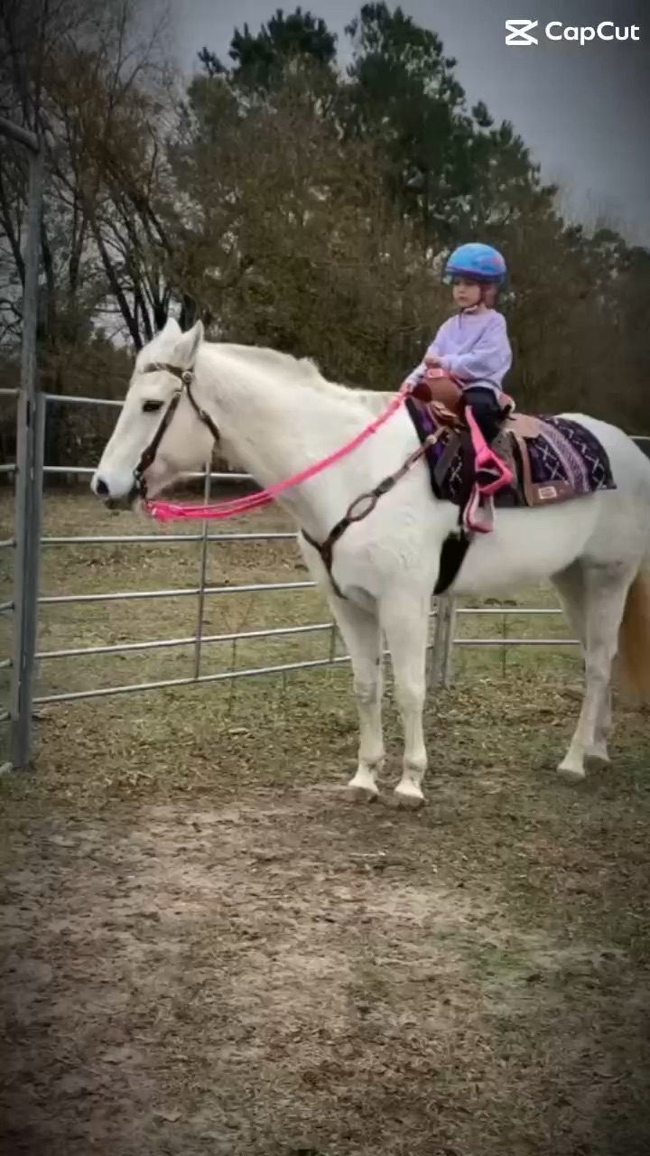 Horse girl