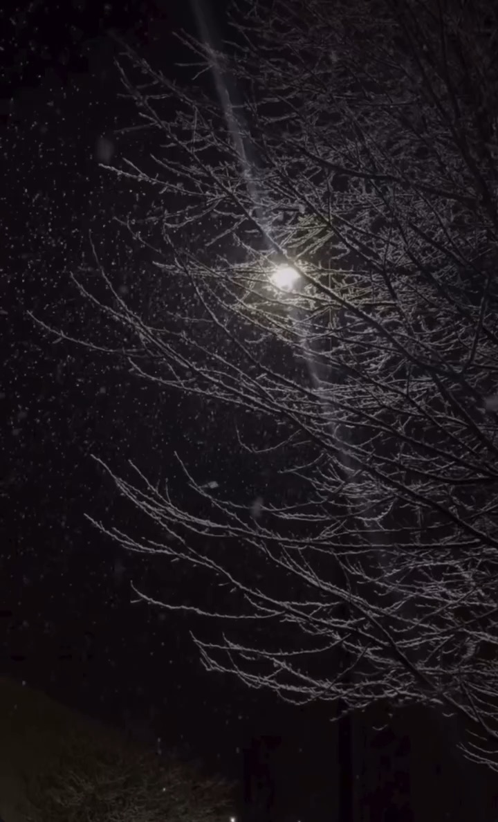 A snowy day