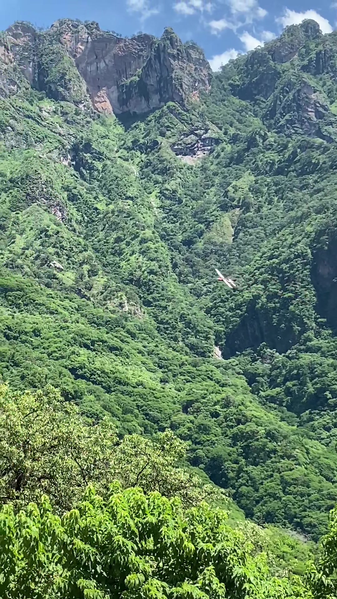 QUE CHULADA!! Asi es la aviación en la sierra… #paratii #mineria #sinaloa🍅 #sierra #flypシ #grupoarriesgado