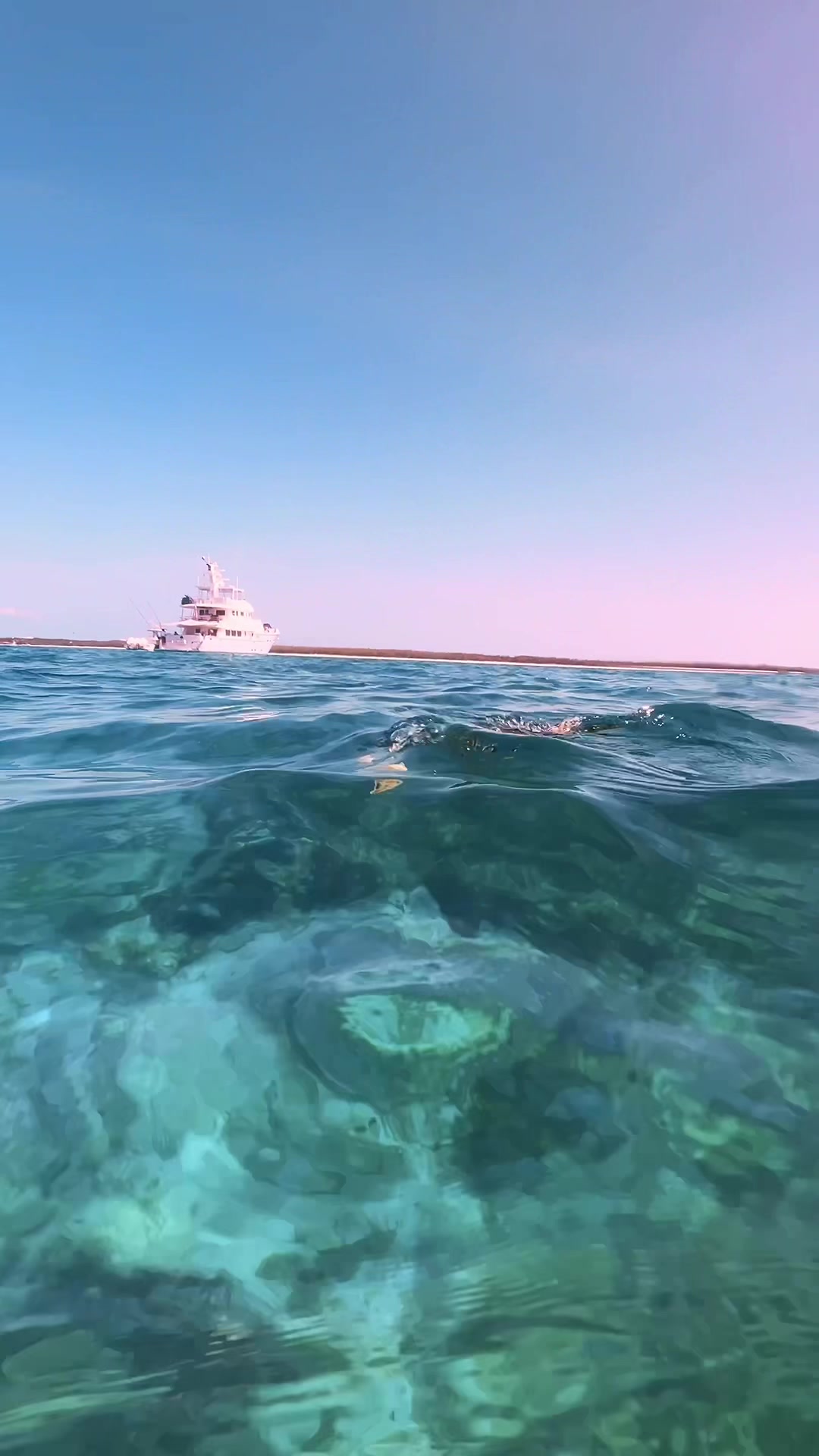📍Exumas, Bahamas 🇧🇸 #bahamas #exumas #travel #turtletok