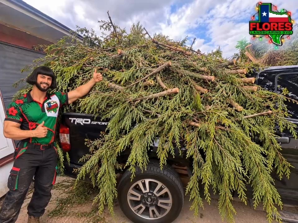 Loading up branches