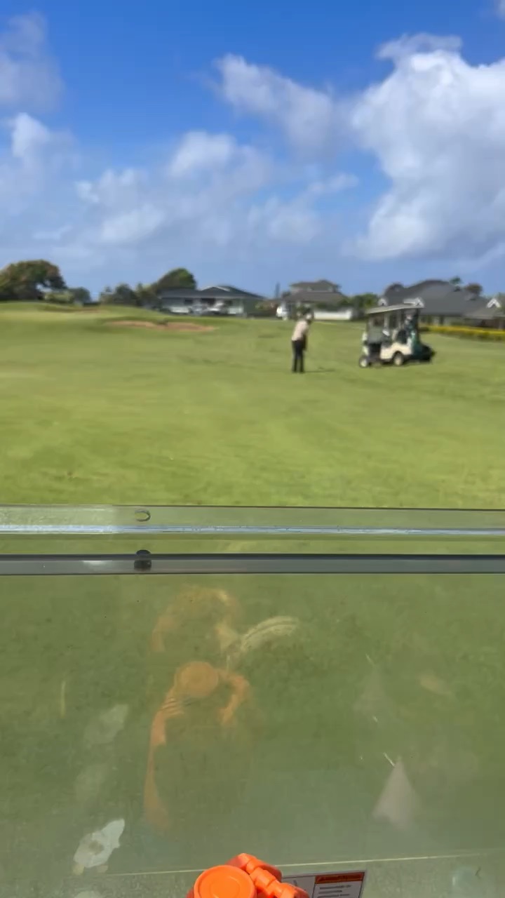 We golf!