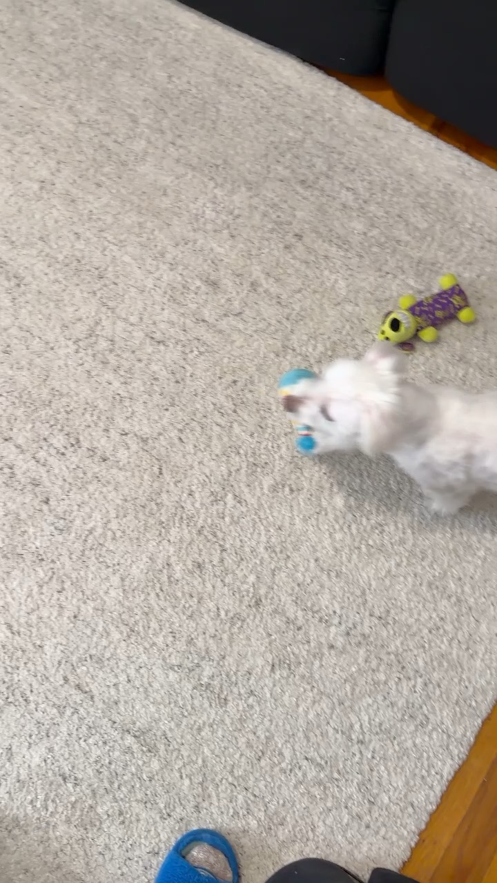 Play time